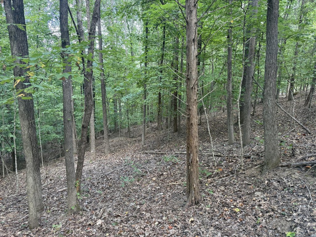 Picture 23