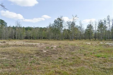 Residential Land in Livingston, LA