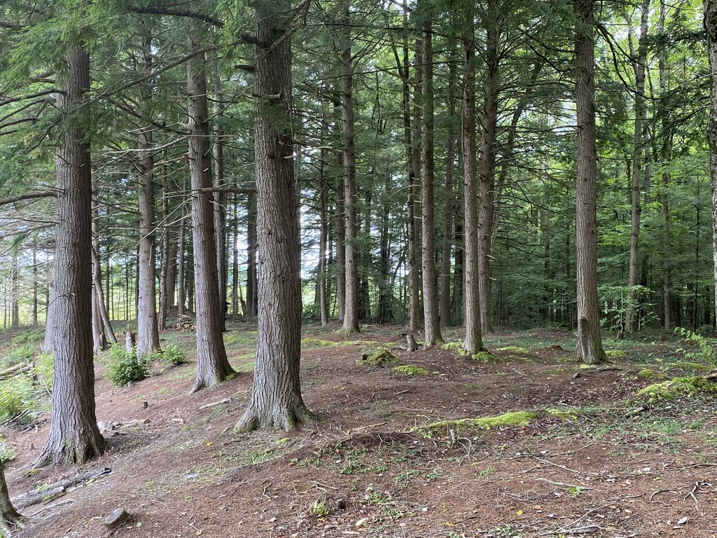 Picture 16