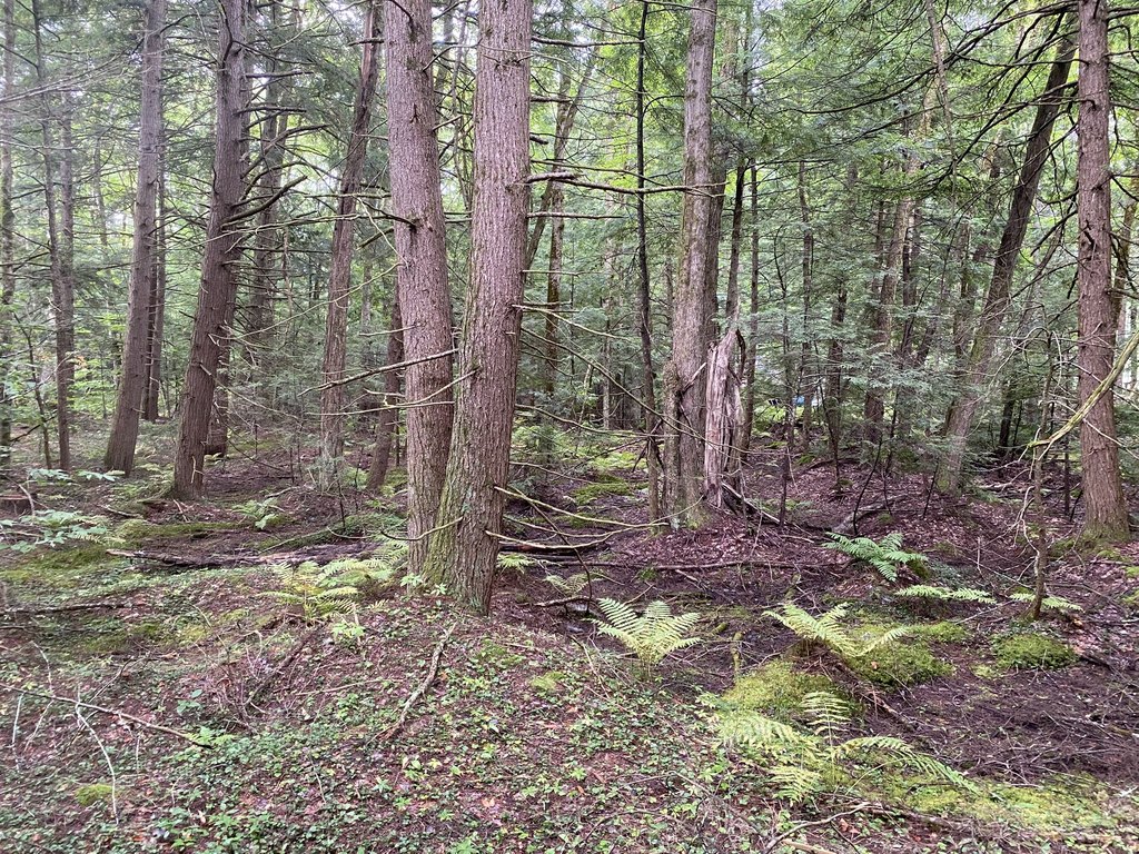 Picture 30