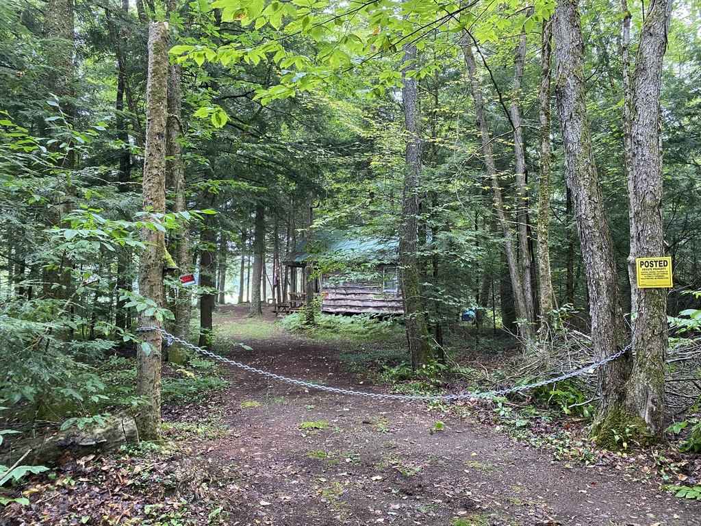Picture 3