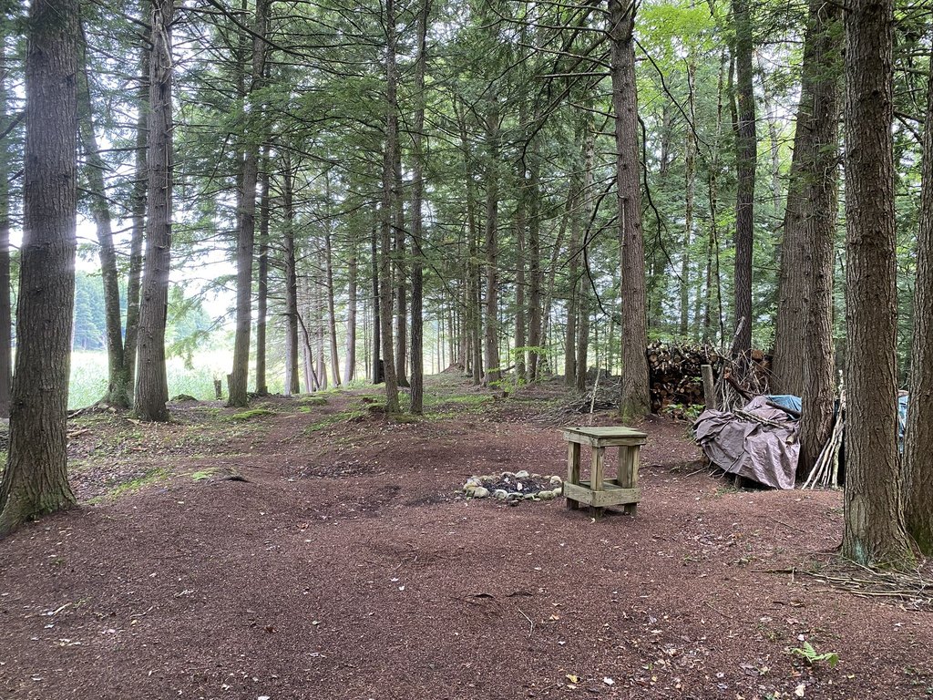 Picture 8