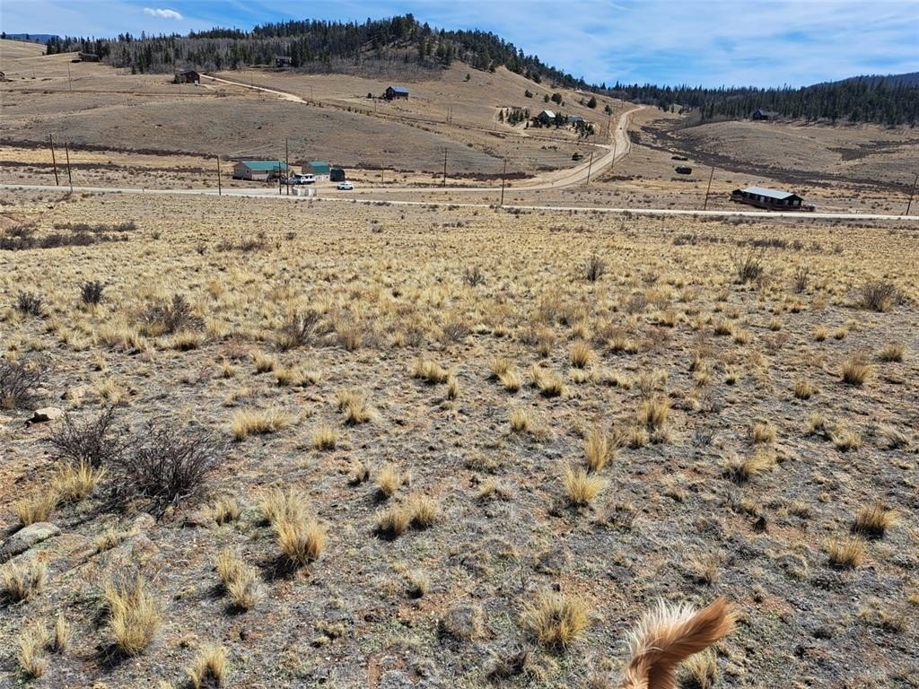 Picture 15