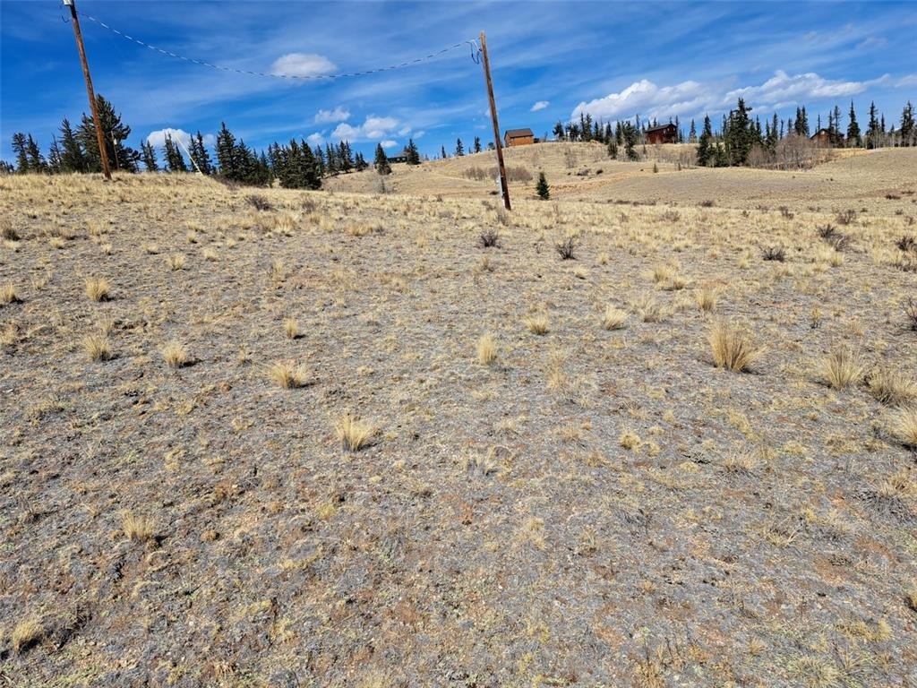 Picture 10
