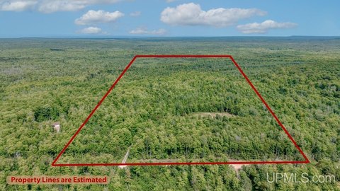 VACANT LAND, Skandia, MI