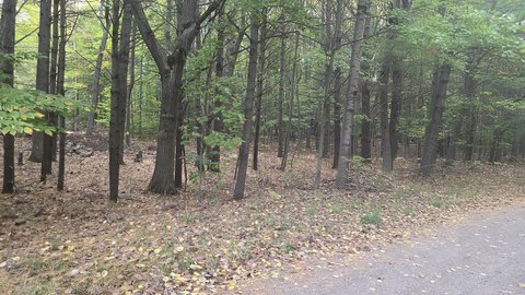 Land, Ludington, MI