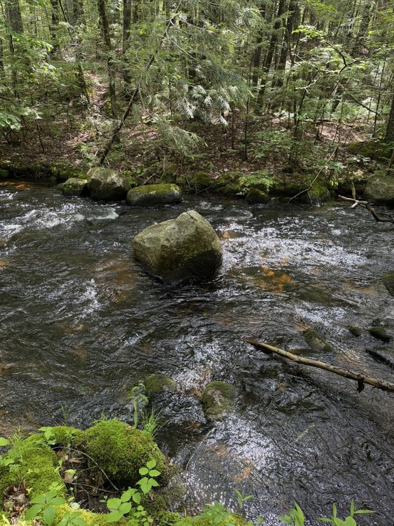Picture 17