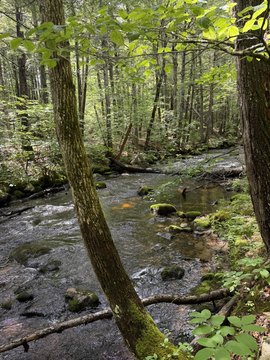 Land, Harrison, ME