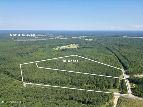 19.98 Acres Wooded Land Parcel