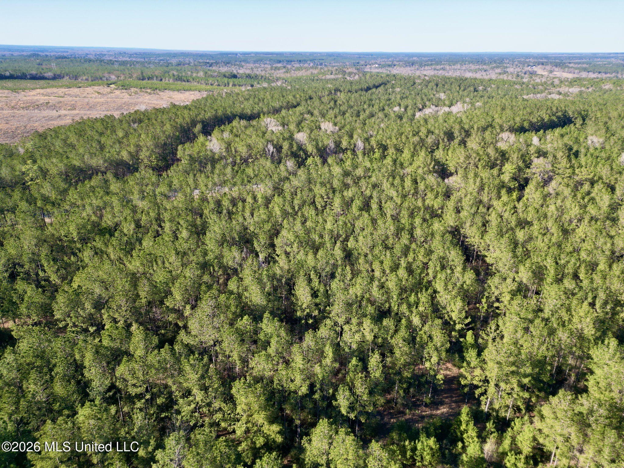 23 Acres Wooded Land Parcel