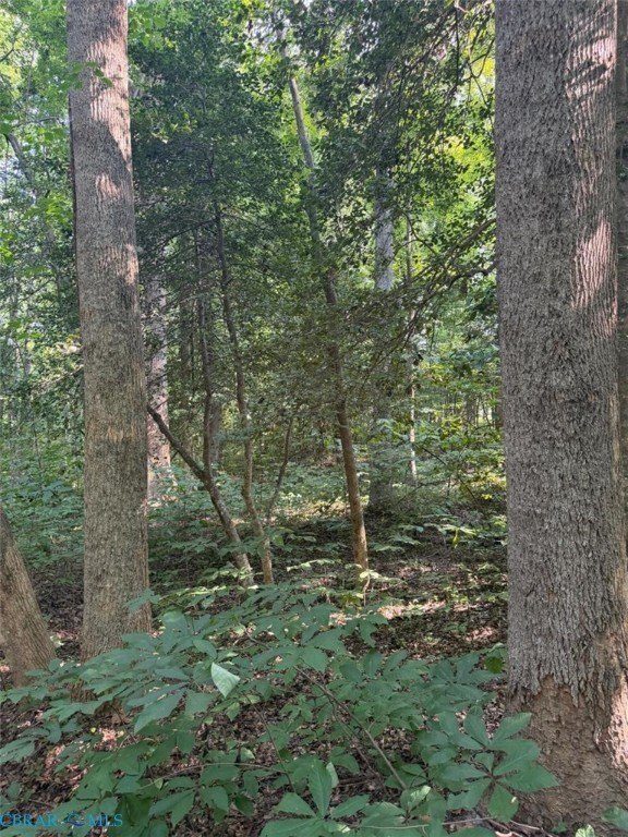 Picture 3