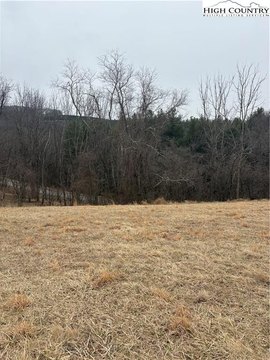 Residential Lot in Alleghany Manor