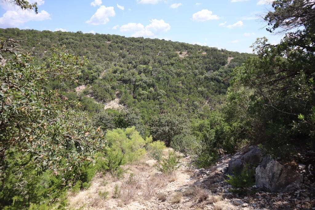 Picture 24