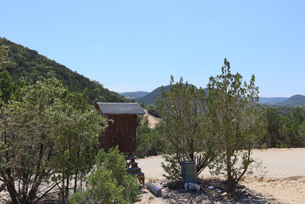 Picture 7