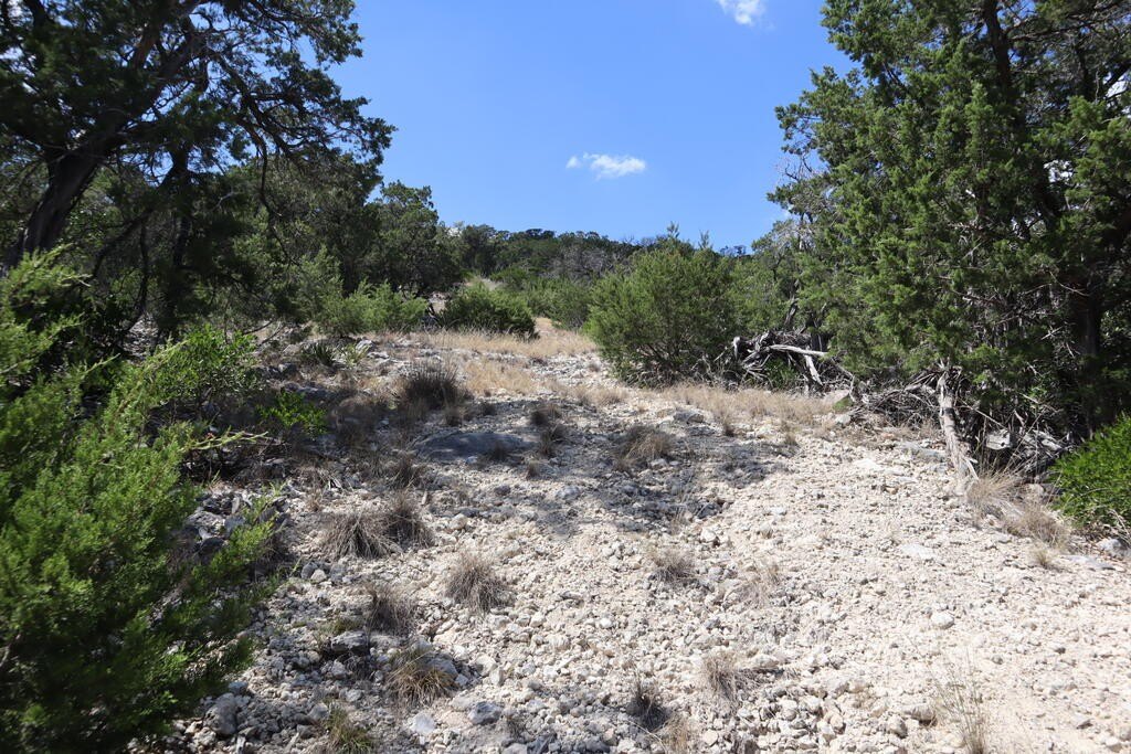 Picture 22