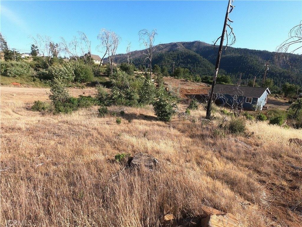 Picture 19