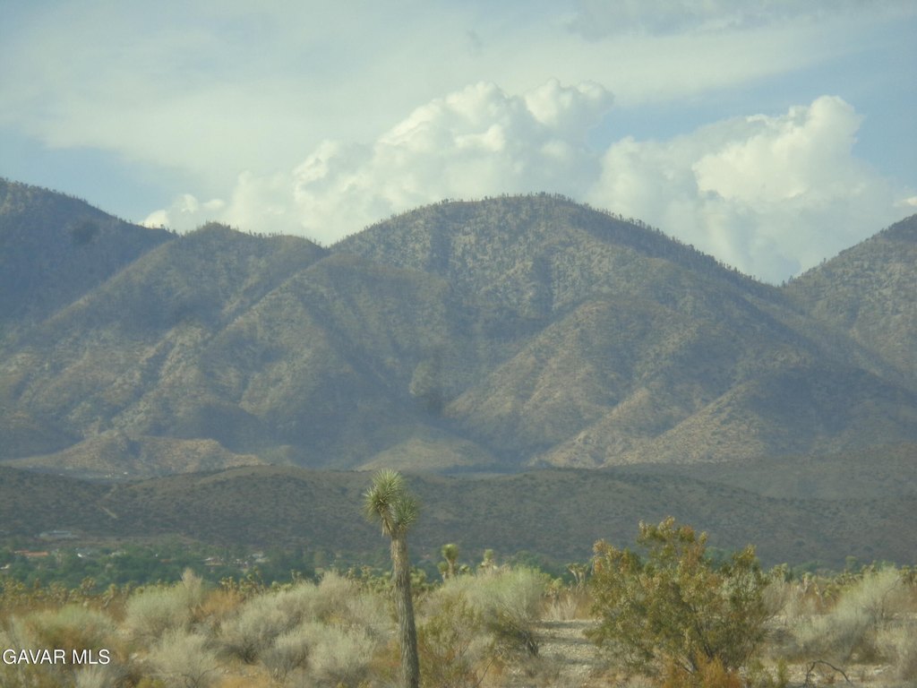 Picture 16