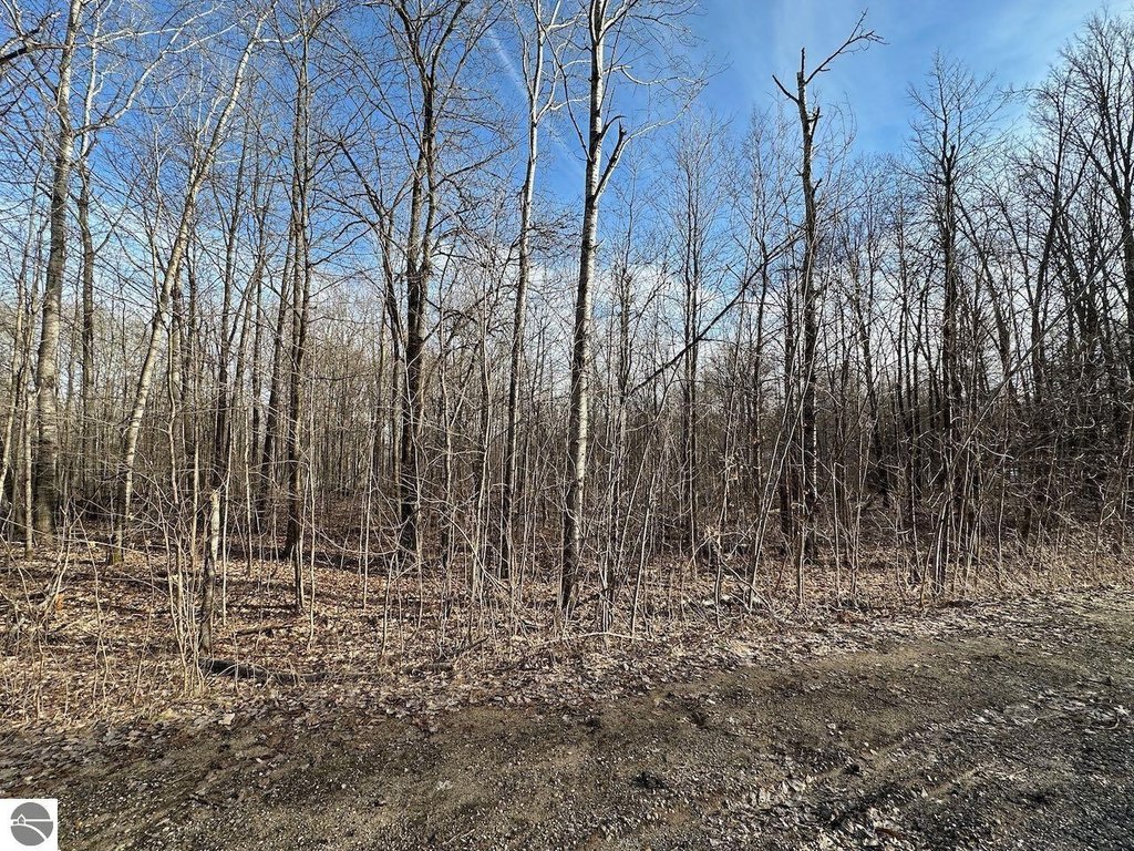 Picture 10