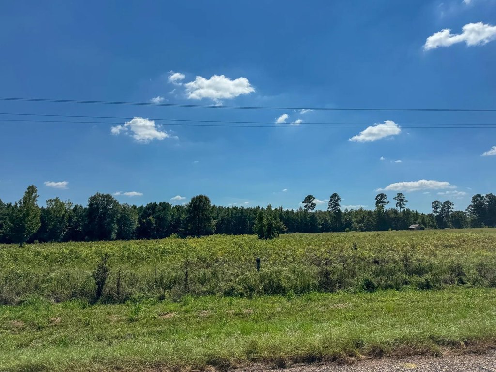 Picture 25
