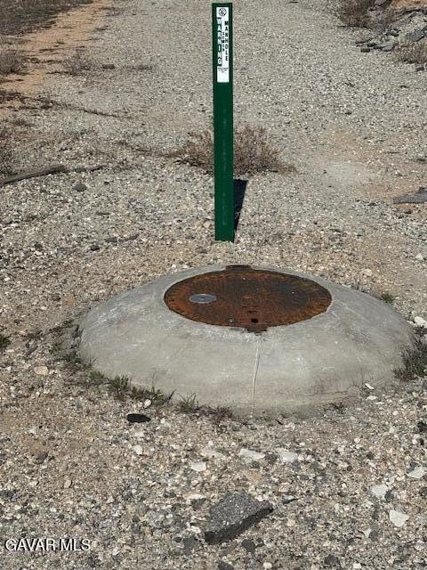 Picture 10