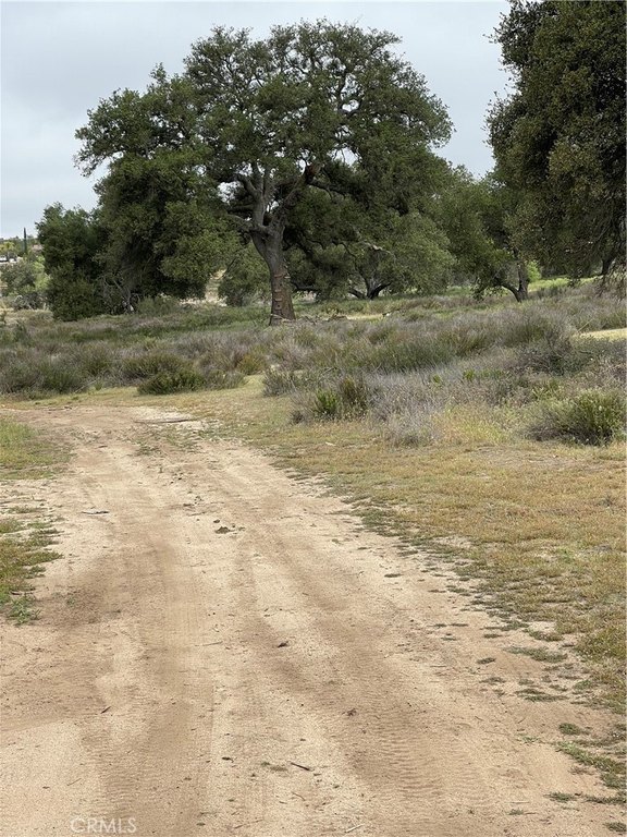 Picture 8