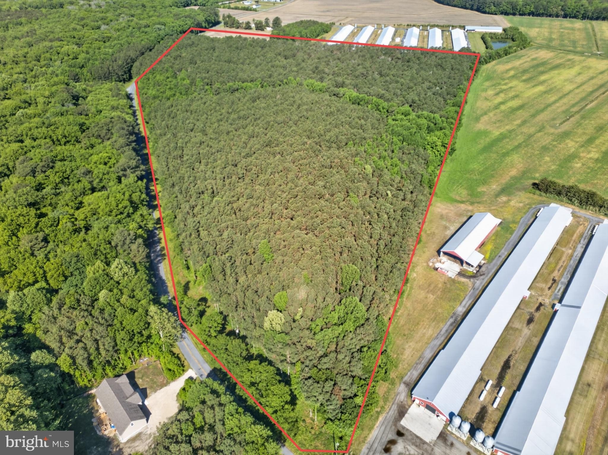36.24 Acres of Wooded Land