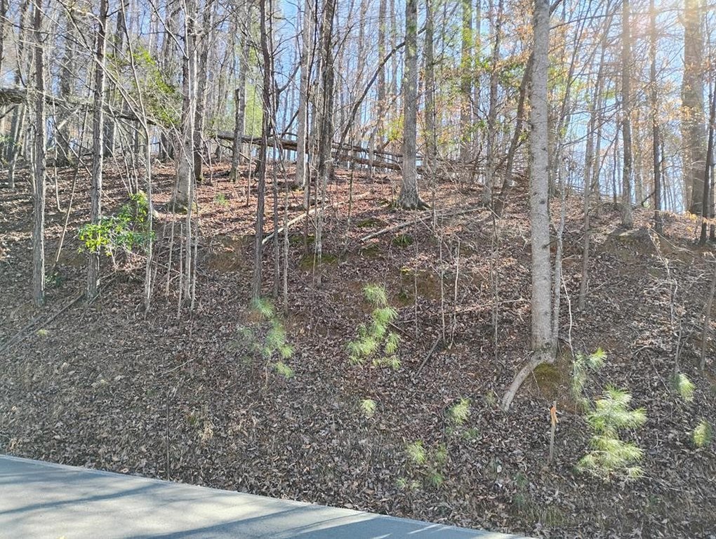 Picture 2