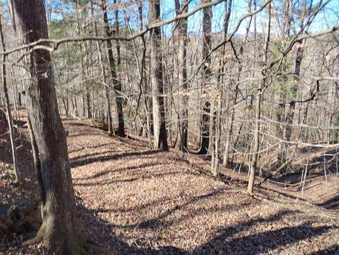 Residential Lot in Coosawattee Subdivision