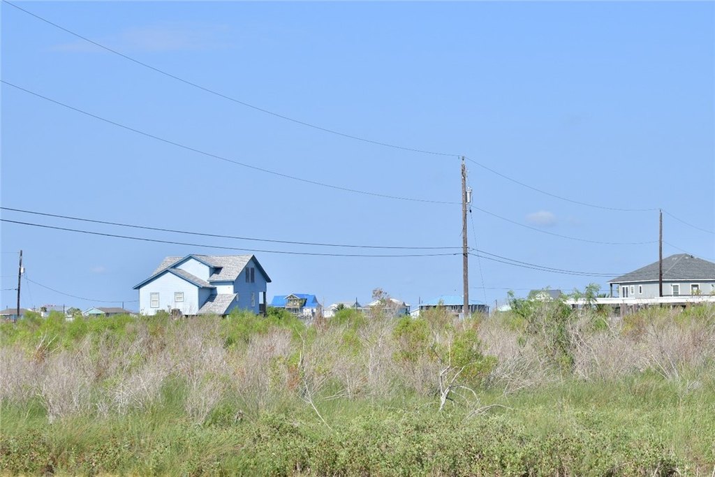 Picture 3