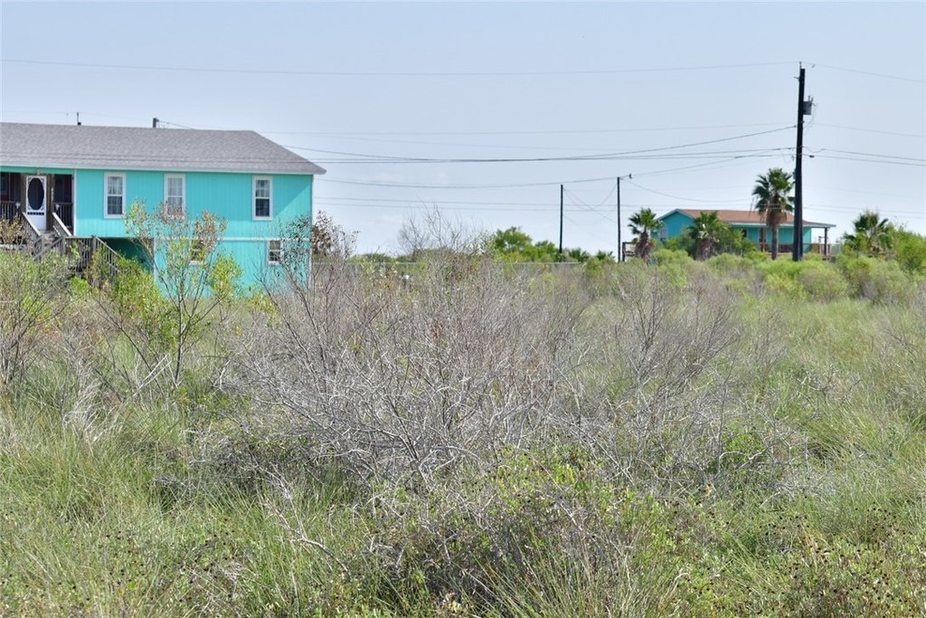 Picture 6