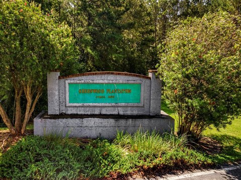 LAND - Darien, GA