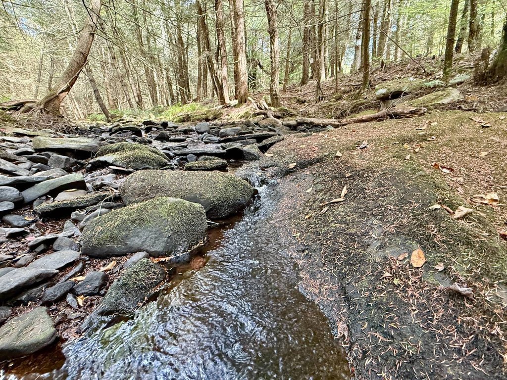 Picture 27