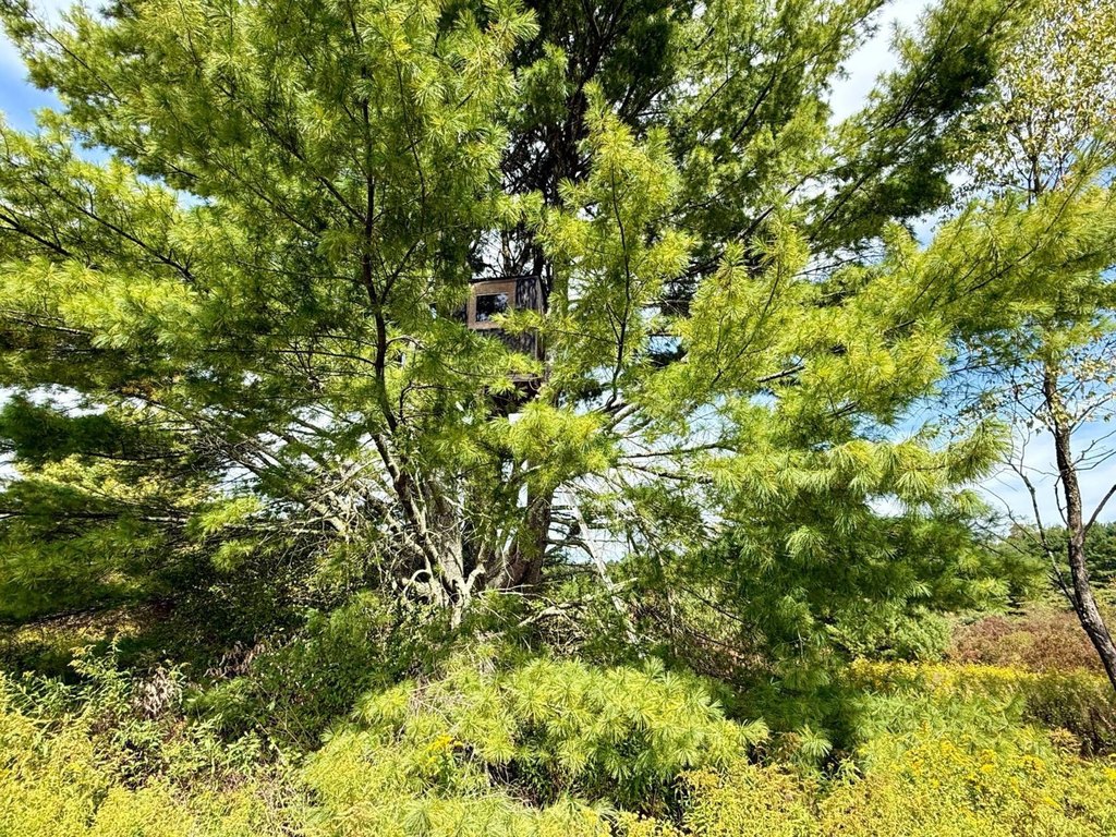 Picture 23