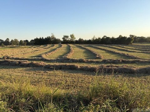 Vacant Land, Dardanelle, AR