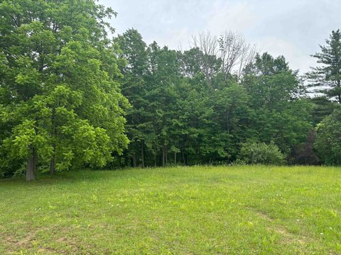VACANT LAND, Beaverton, MI