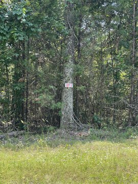 Vacant Land, Greers Ferry, AR