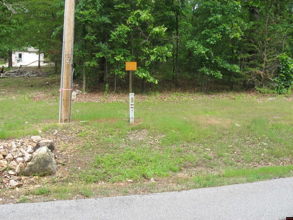 Picture 3