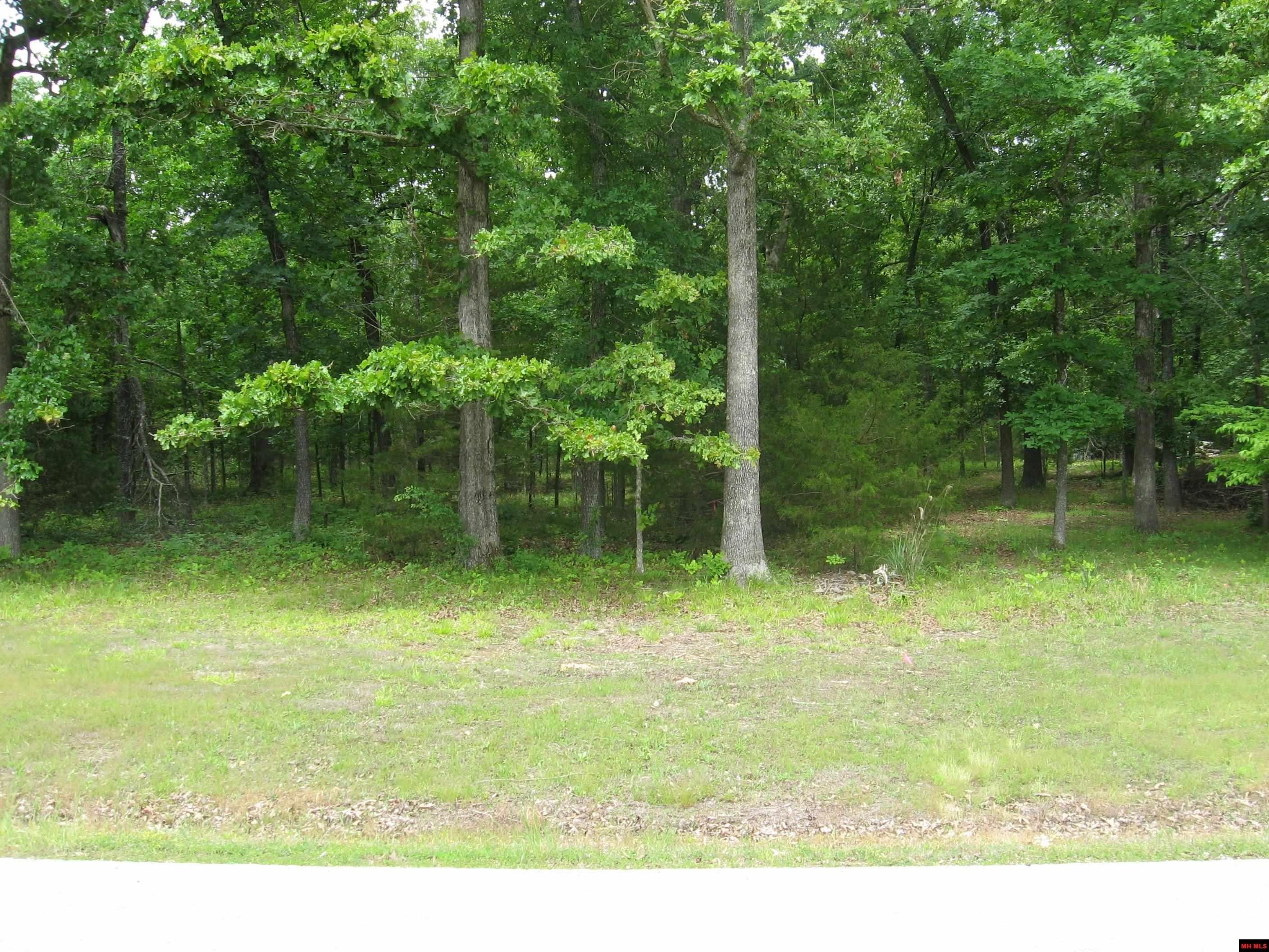 Mountain Home Land For Sale