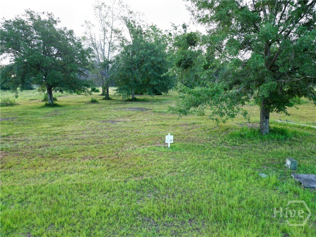 Picture 19