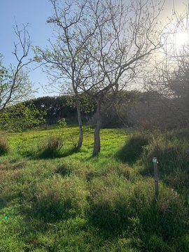 Residential Land Near Schools