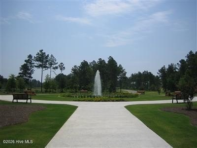 Picture 18