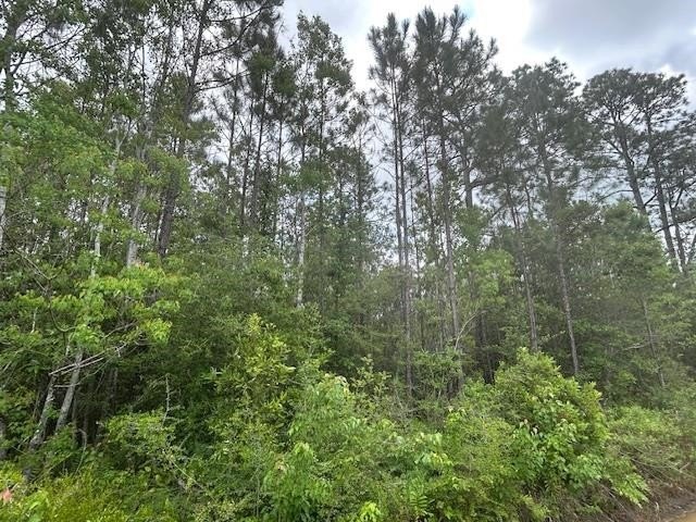 Wooded Land Near Avalon Beach