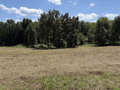 Lots and Land, Scottsville, KY