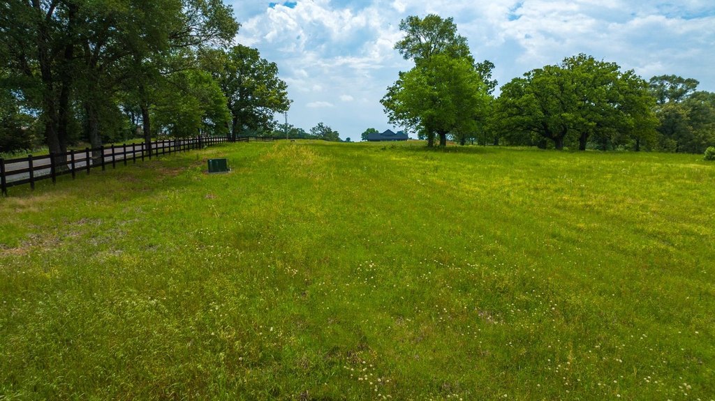 Picture 30