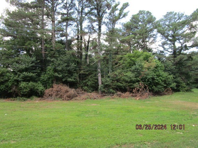 Picture 3