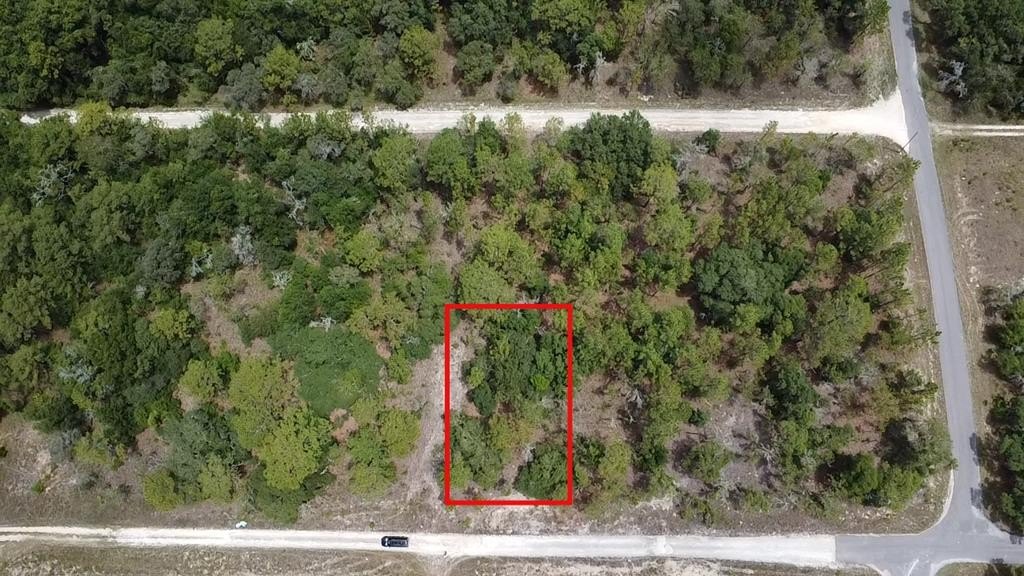 Williston, FL Residential Land