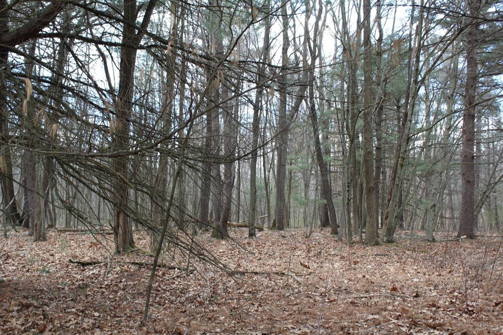 Picture 7