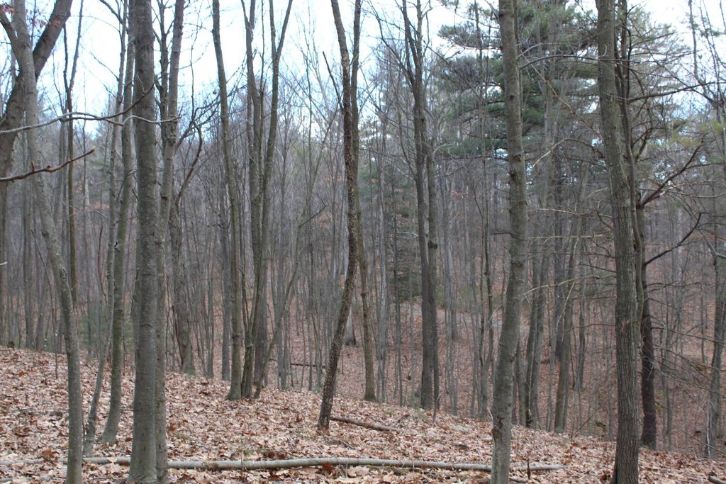 Picture 4