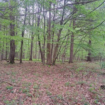 Land, Huntingdon, PA