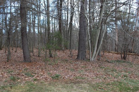 Residential Hunting Lot in Rural Community